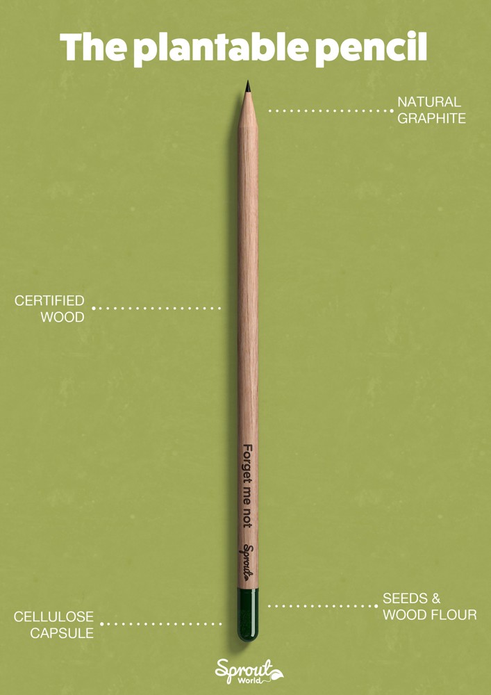 Sproutworld Set: Sharpened Pencil & Header Card geslepen potlood